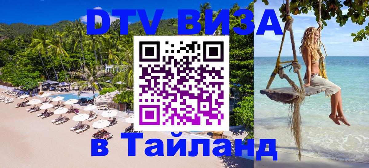 Сколько стоит DTV виза — актуальные цены, оформление даже без документов - Багдад 